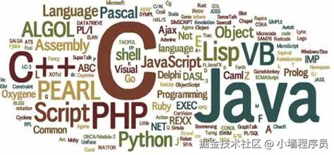 编程语言对比学习