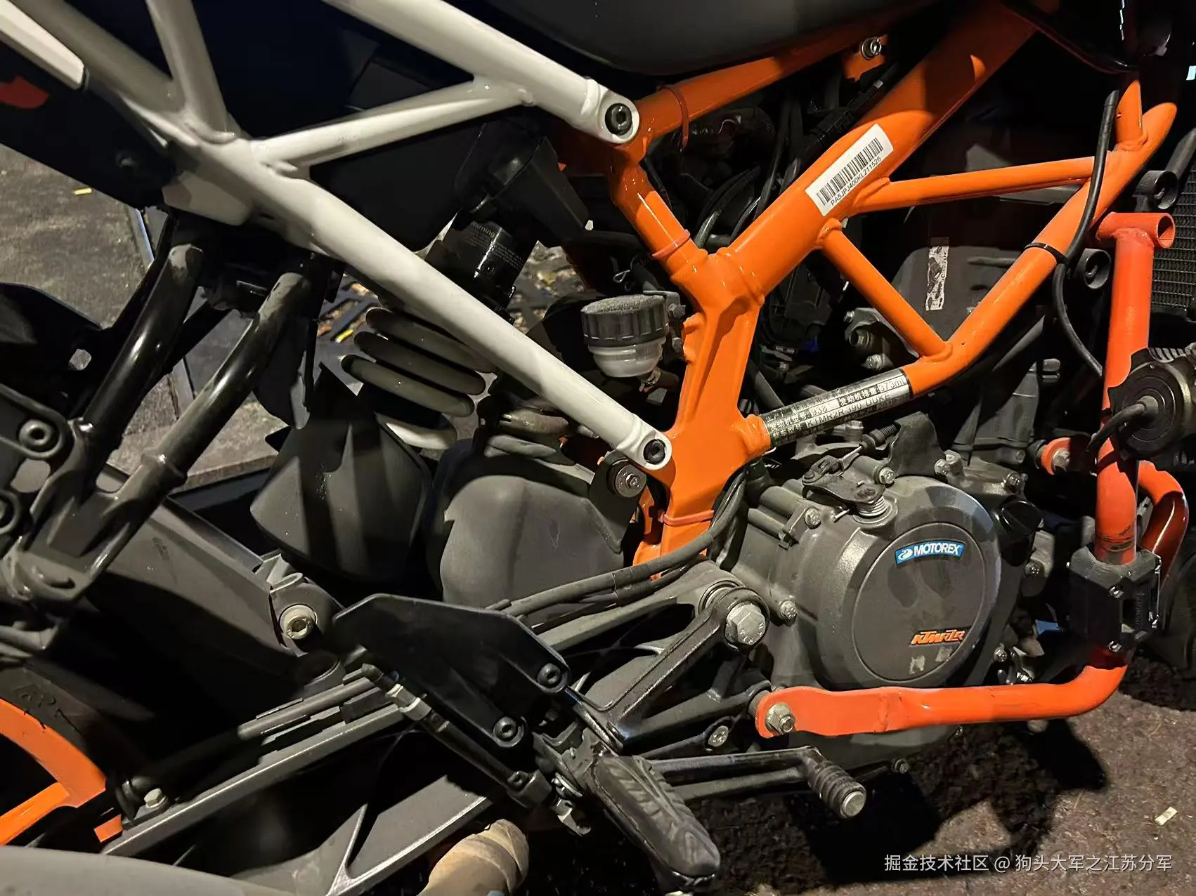 狗头大军之江苏分军于2025-05-30 13:44发布的图片