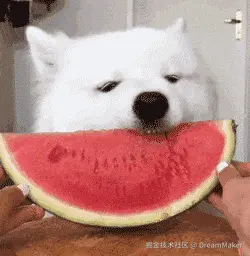 DreamMaker于2025-03-04 09:08发布的图片