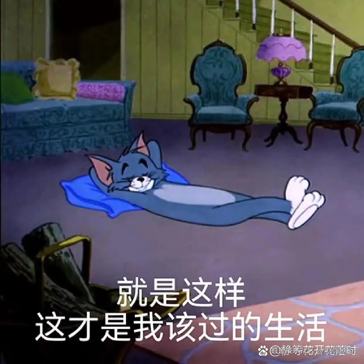 吃饱就行于2025-05-30 09:42发布的图片