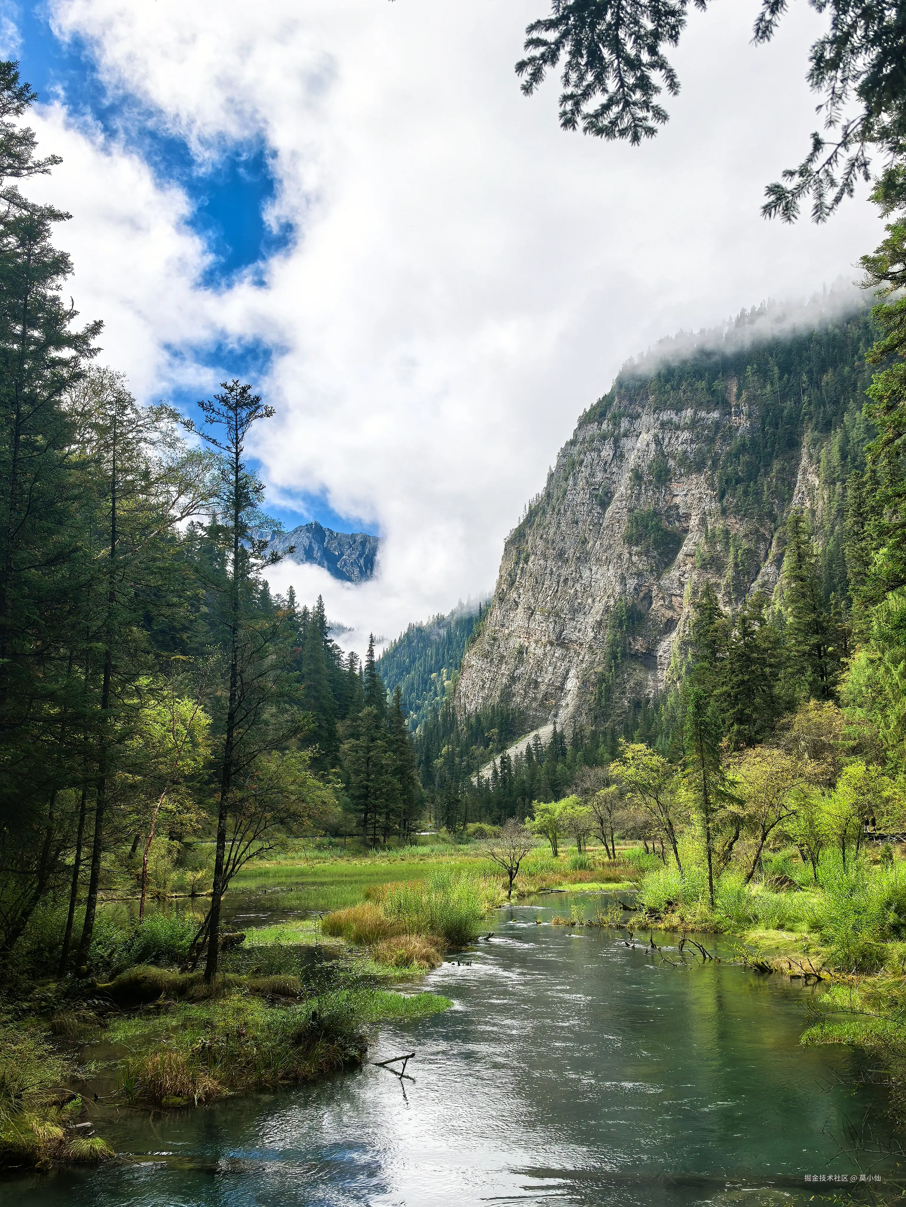 莫小仙于2025-10-09 10:54发布的图片