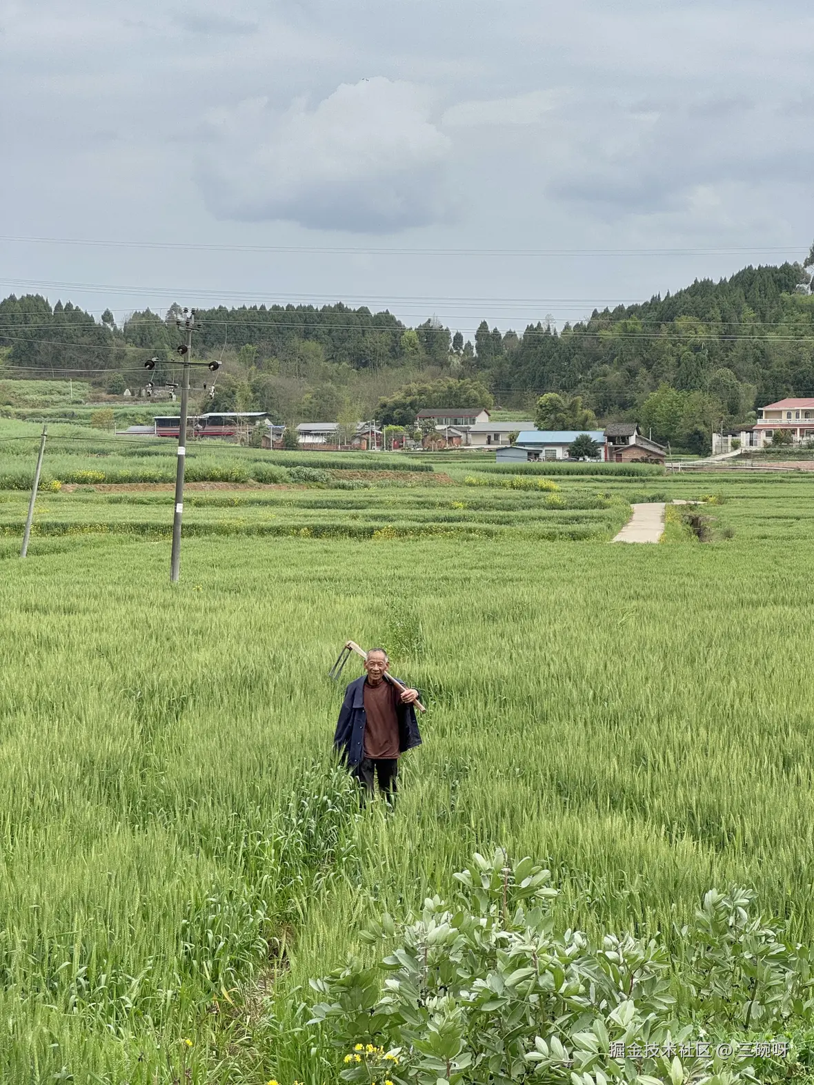 三碗呀于2025-04-09 11:21发布的图片