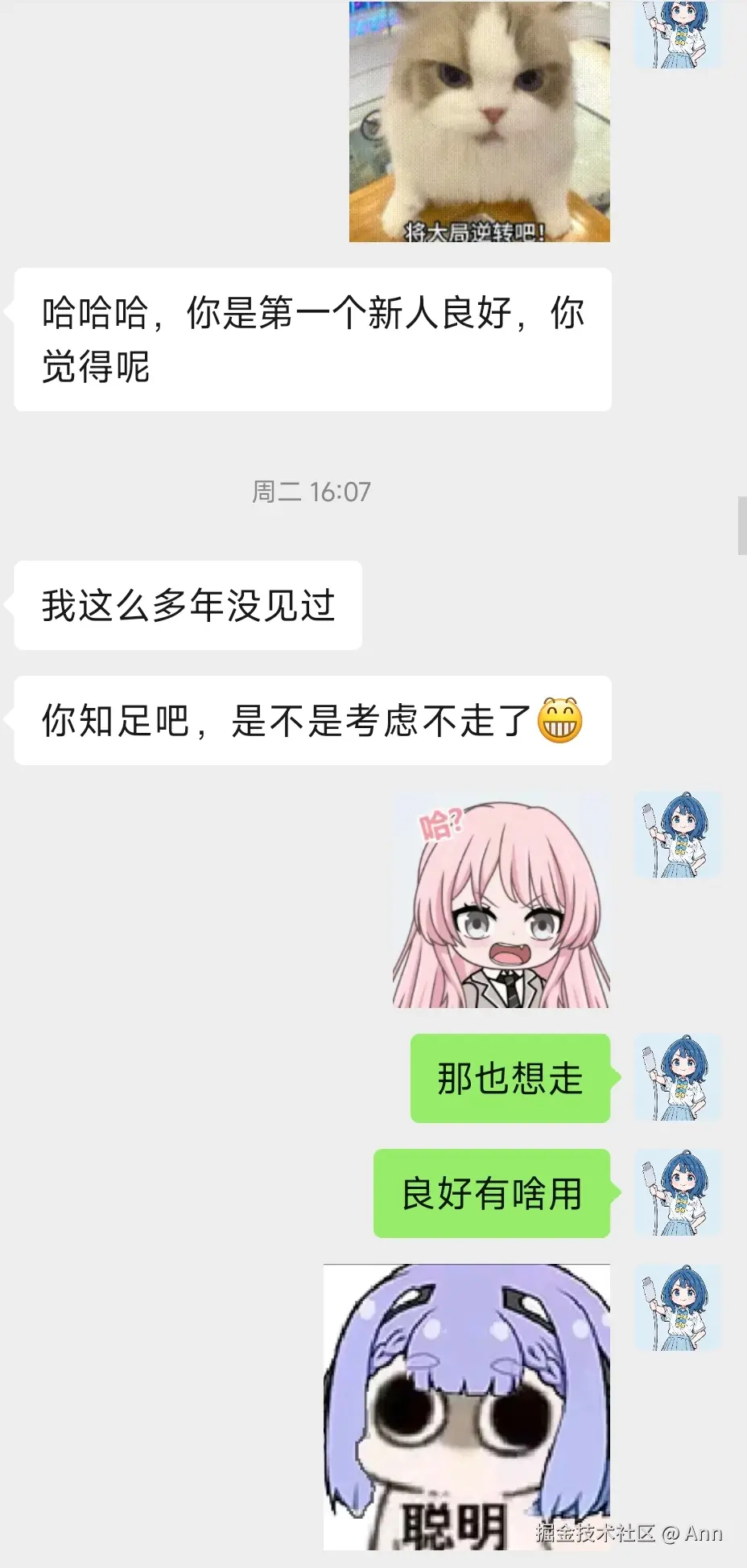 Ann于2025-03-06 09:08发布的图片