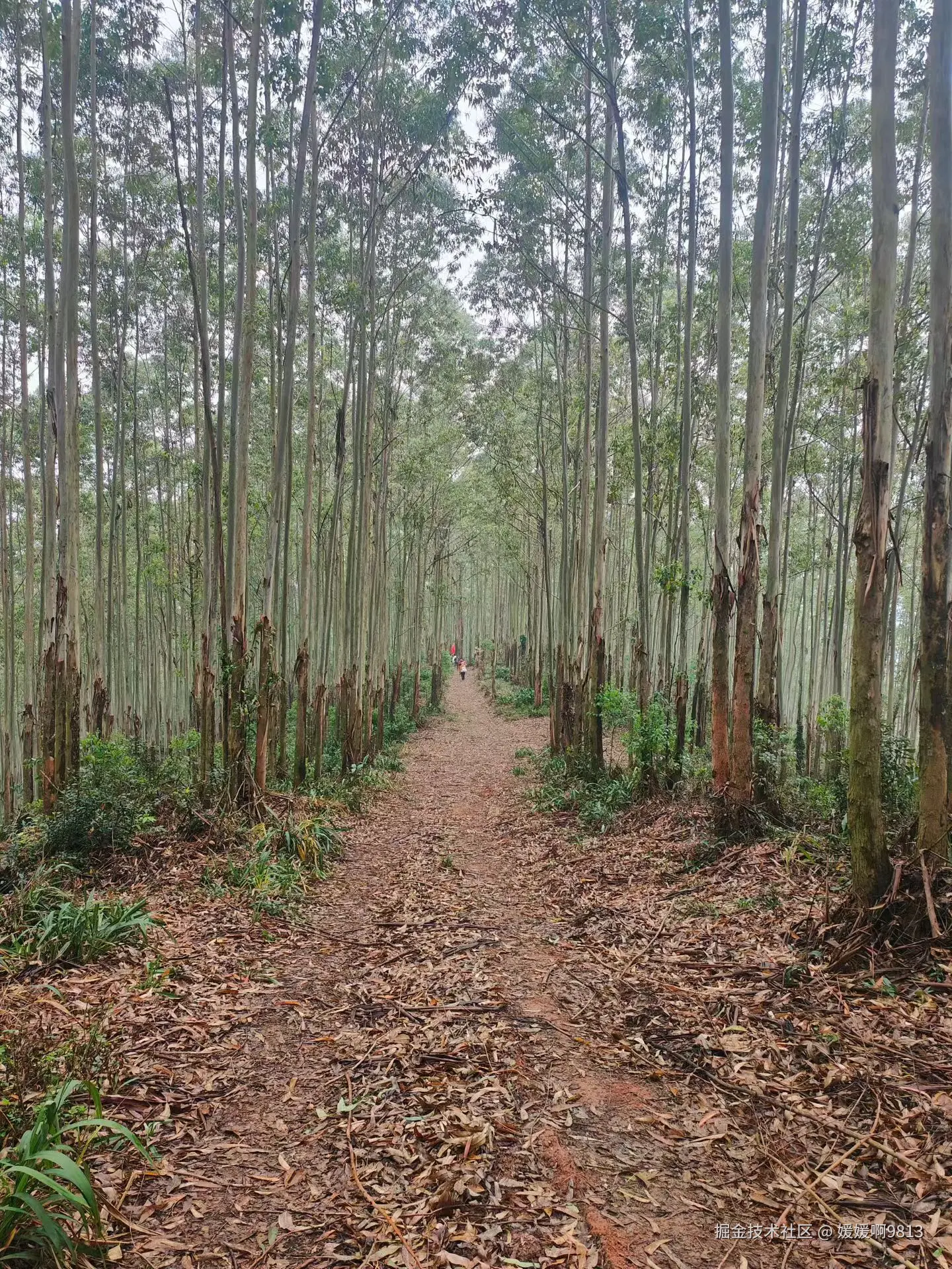 媛媛啊9813于2026-01-24 19:39发布的图片