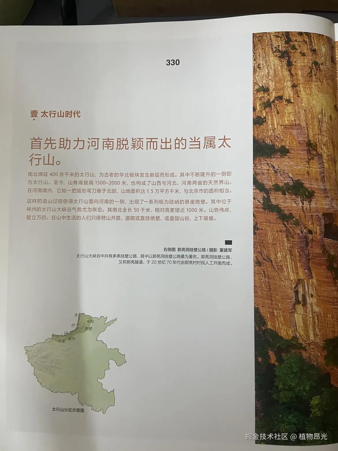 植物昂光于2026-04-10 21:41发布的图片