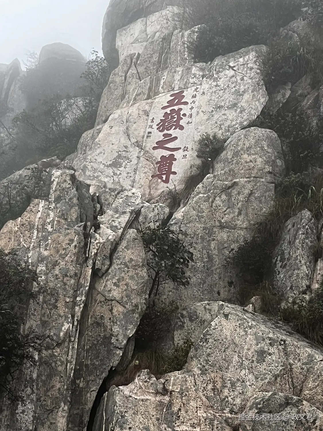 政文君于2024-09-18 19:26发布的图片