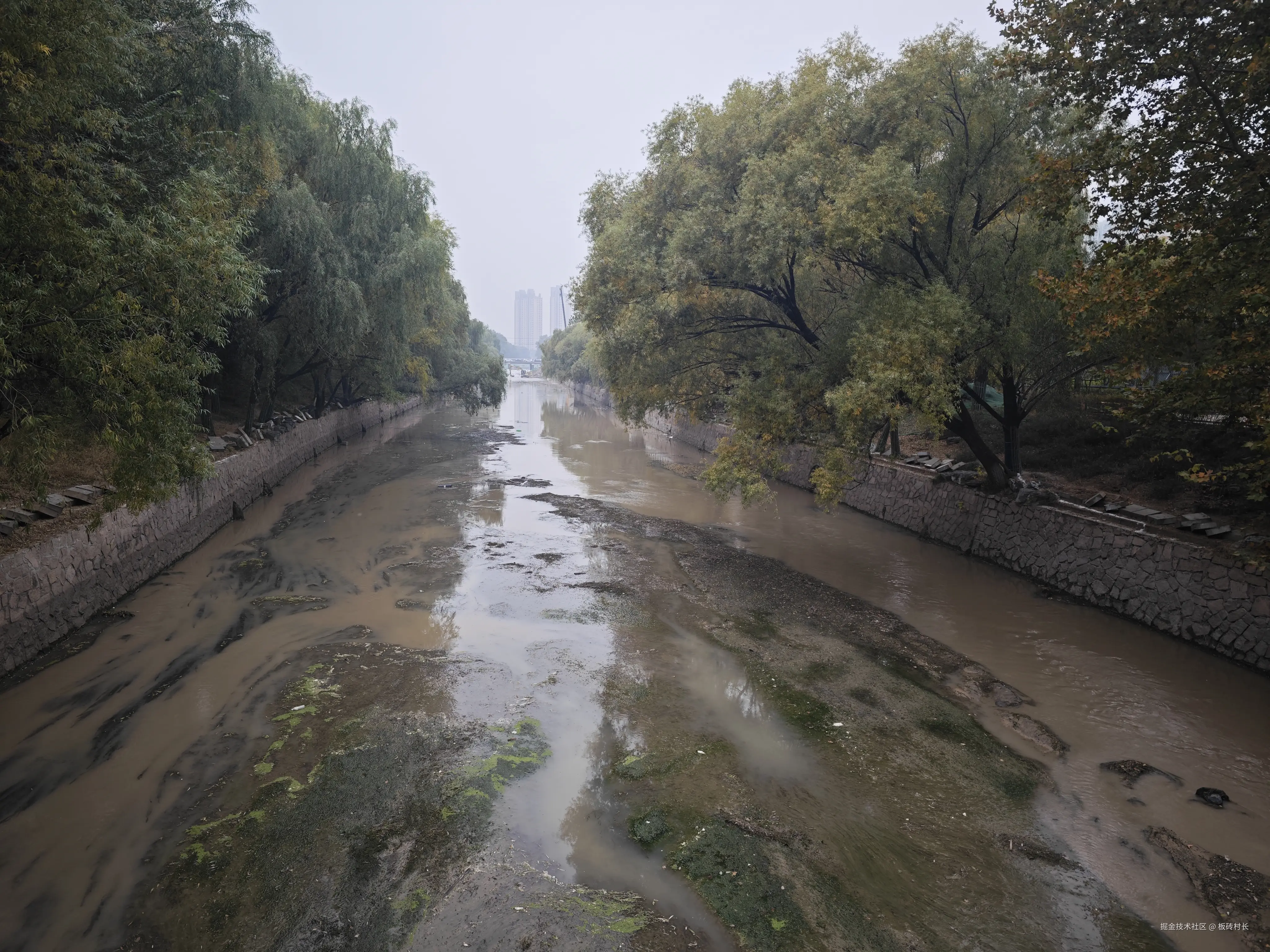 板砖村长于2024-11-01 16:04发布的图片