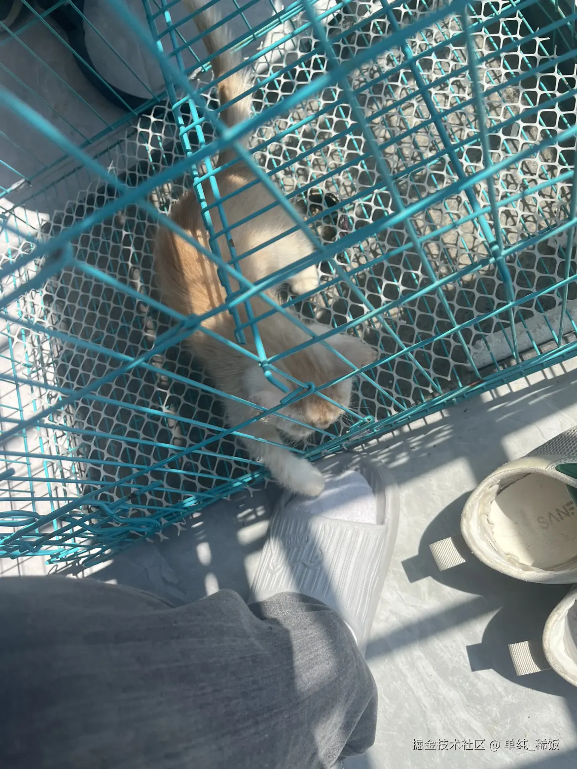 单纯_稀饭于2025-03-18 16:27发布的图片