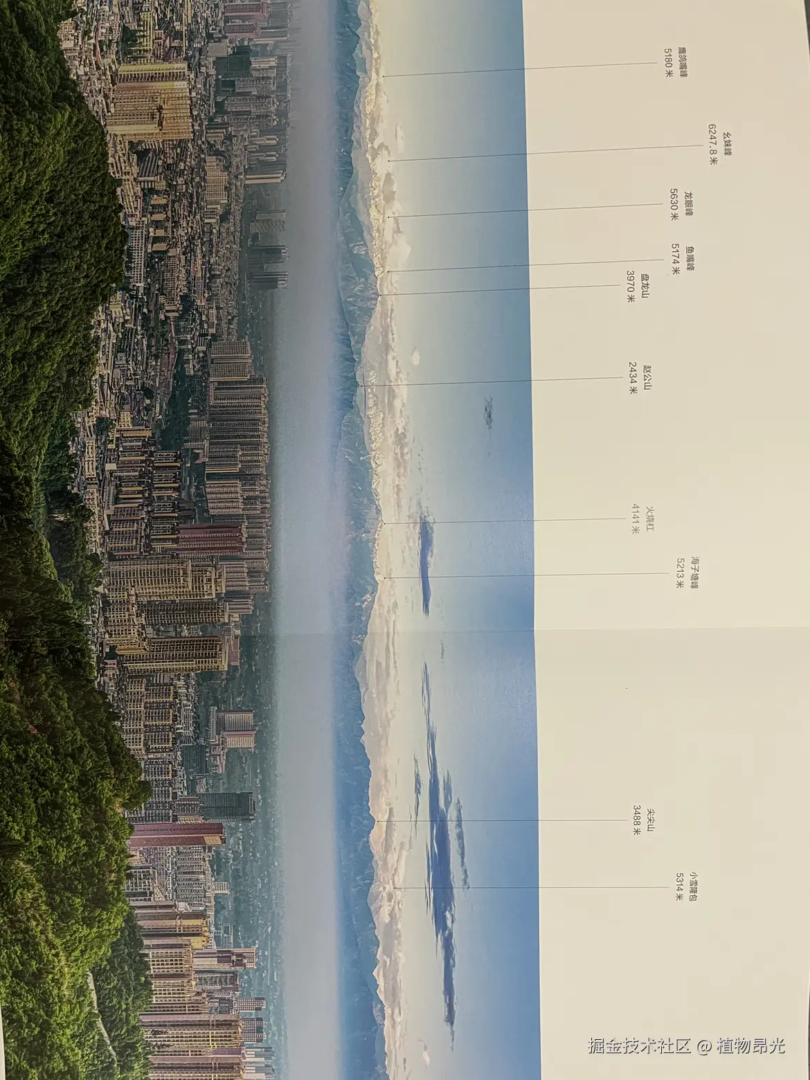 植物昂光于2026-04-02 20:46发布的图片