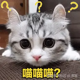 计算机网络