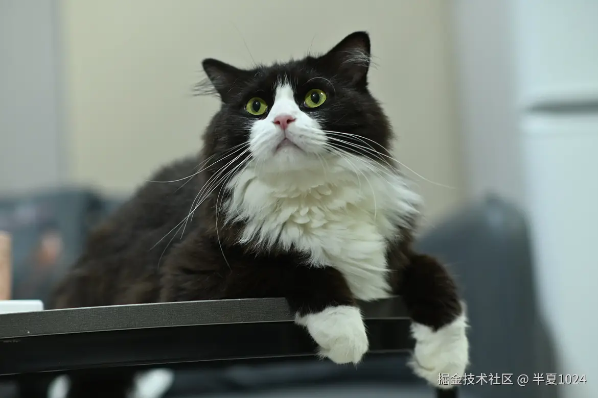 半夏1024于2024-08-19 10:37发布的图片