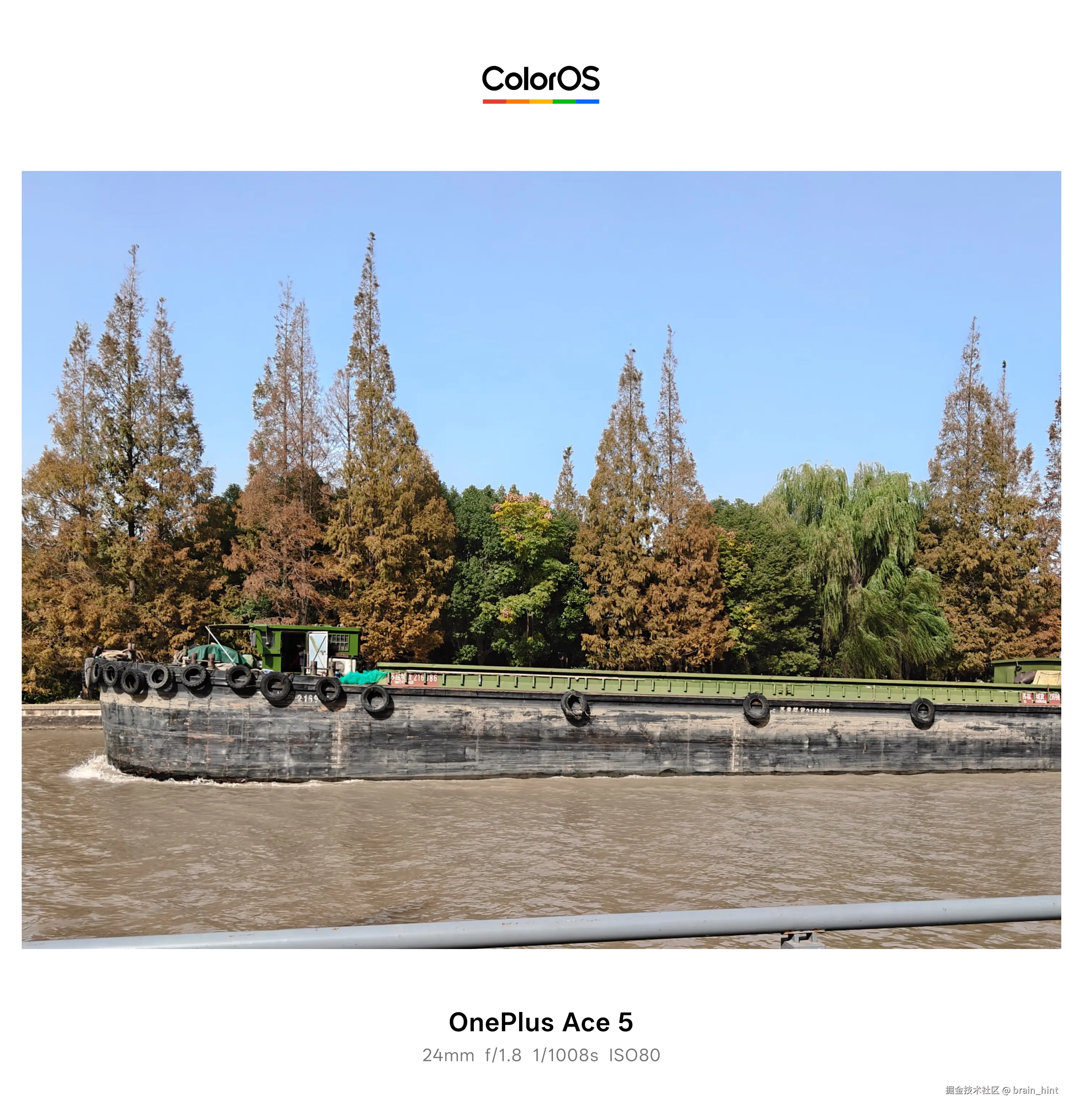 brain_hint于2025-11-27 12:44发布的图片