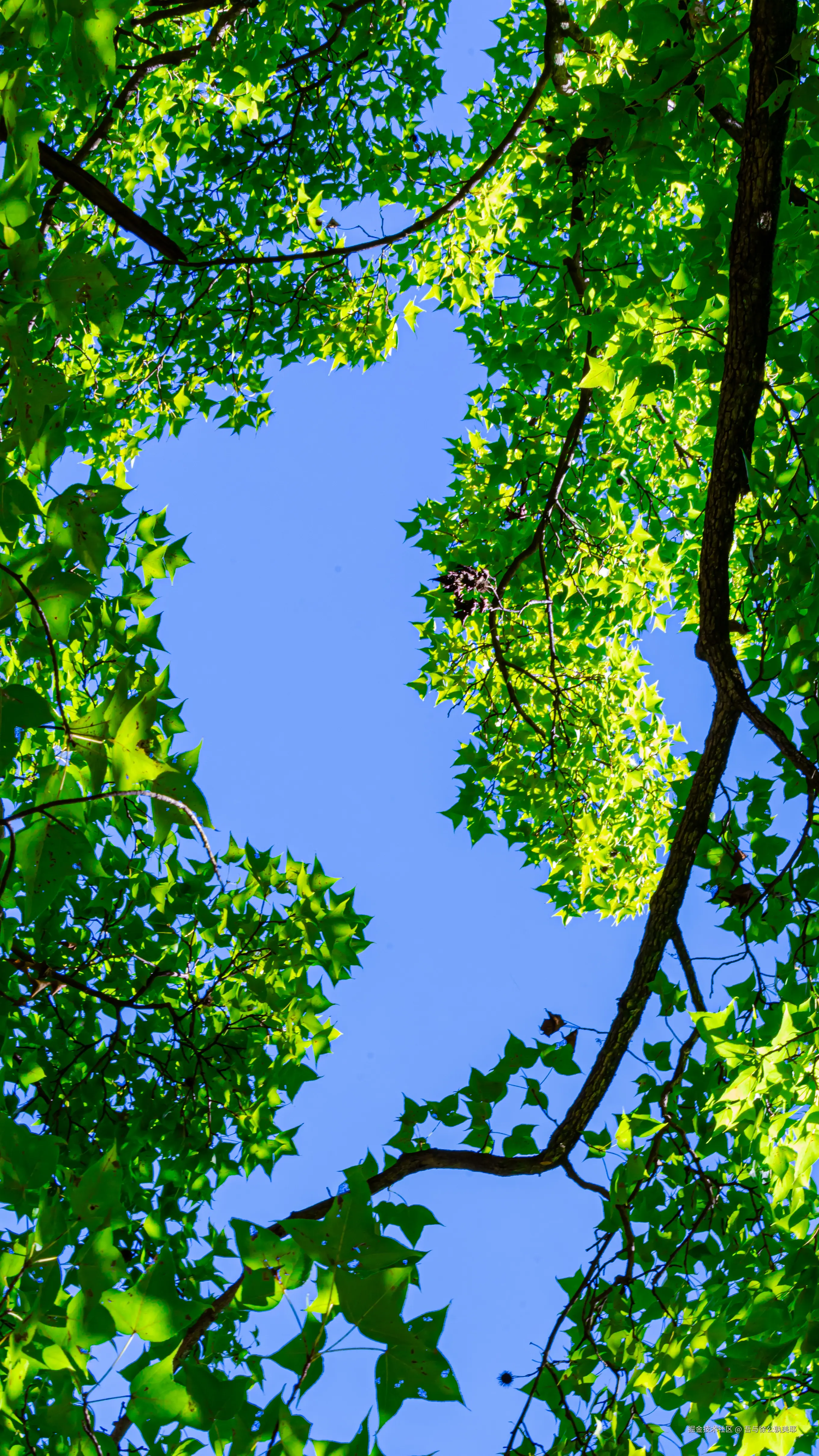 吾与徐公孰美耶于2024-08-09 10:00发布的图片