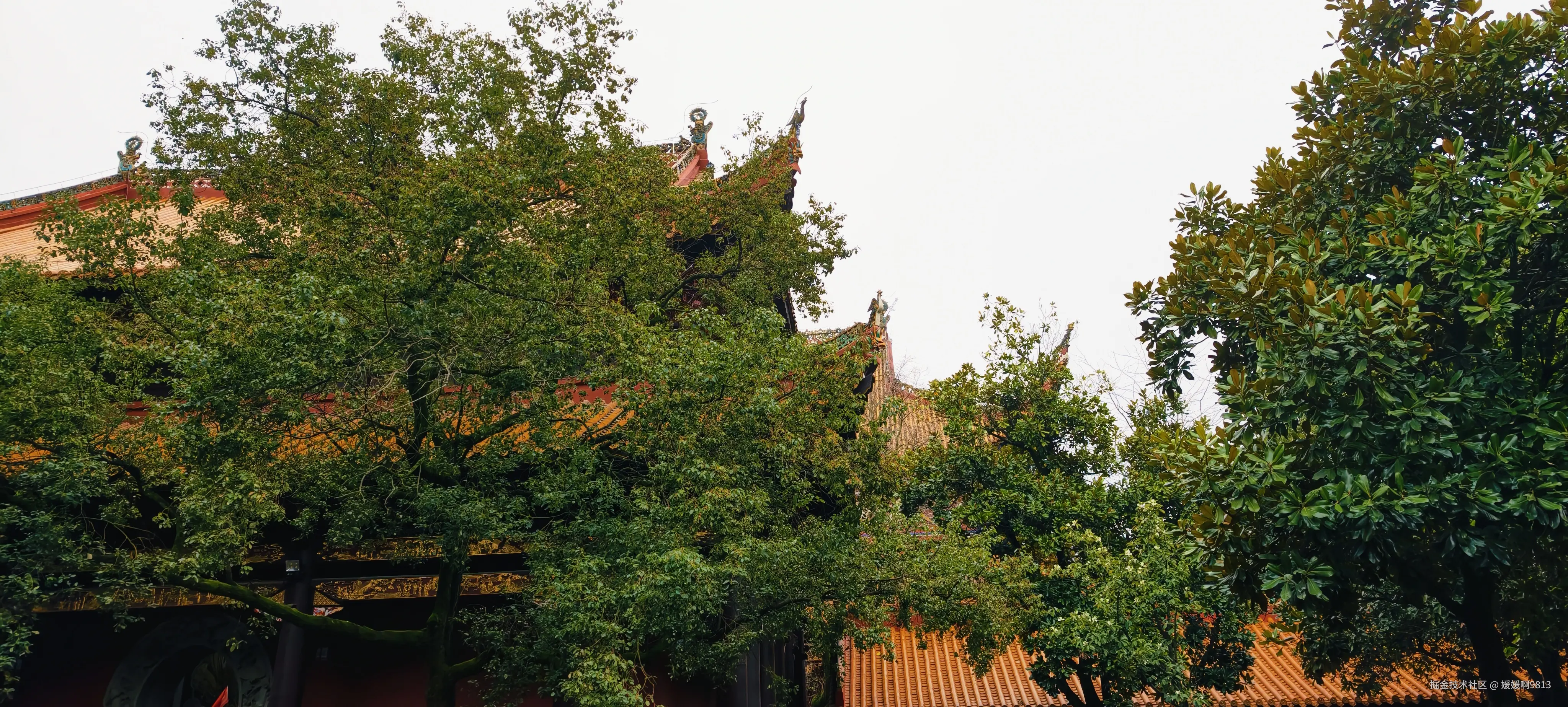 媛媛啊9813于2026-02-21 09:58发布的图片