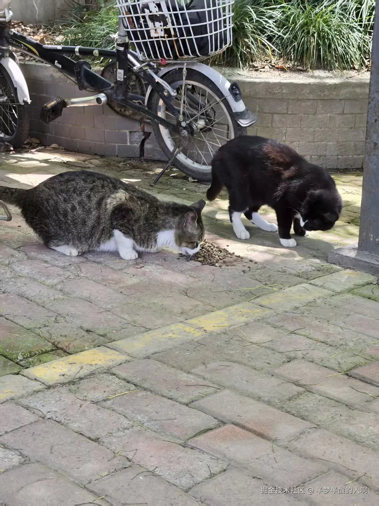 半梦半醒的人啊于2025-10-27 11:28发布的图片