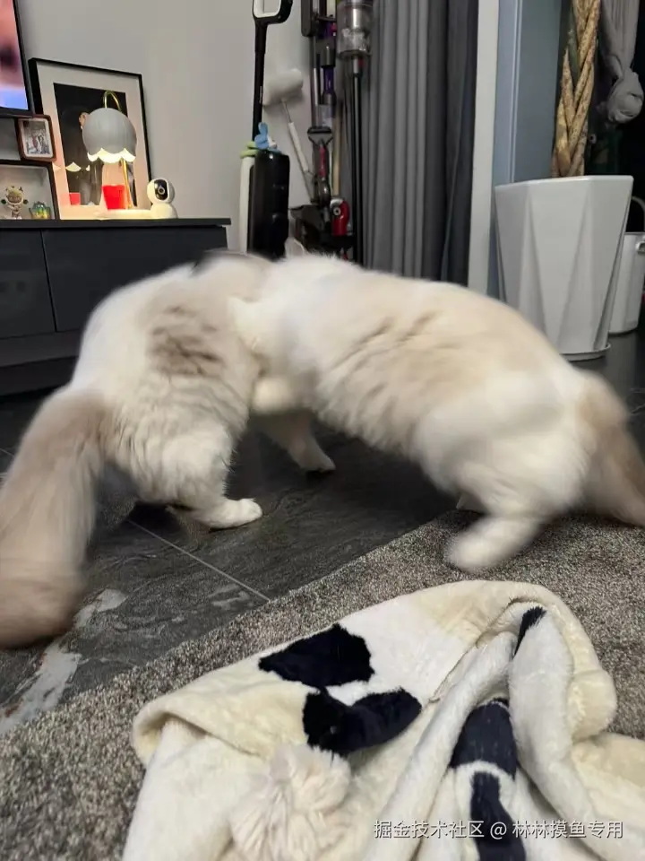 林林摸鱼专用于2024-11-01 14:24发布的图片