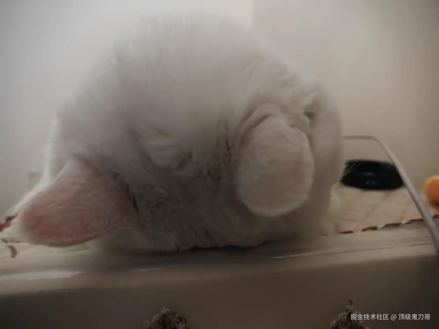 顶级鬼刀哥于2025-09-11 10:22发布的图片