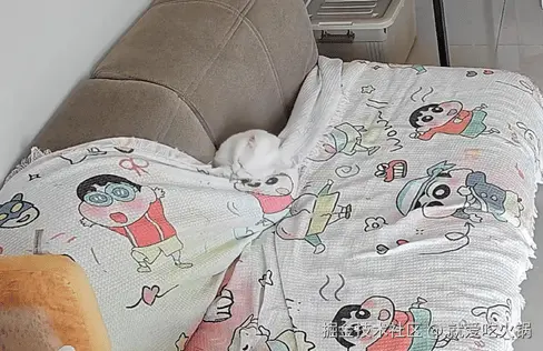 就爱吃火锅于2025-09-28 12:49发布的图片