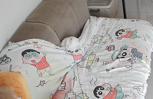 就爱吃火锅于2025-09-28 12:49发布的图片