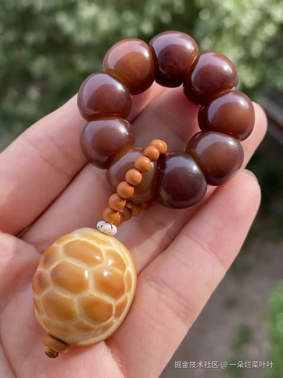 一朵烂菜叶叶于2025-05-07 15:58发布的图片