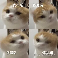 小桃_于2026-02-06 17:06发布的图片