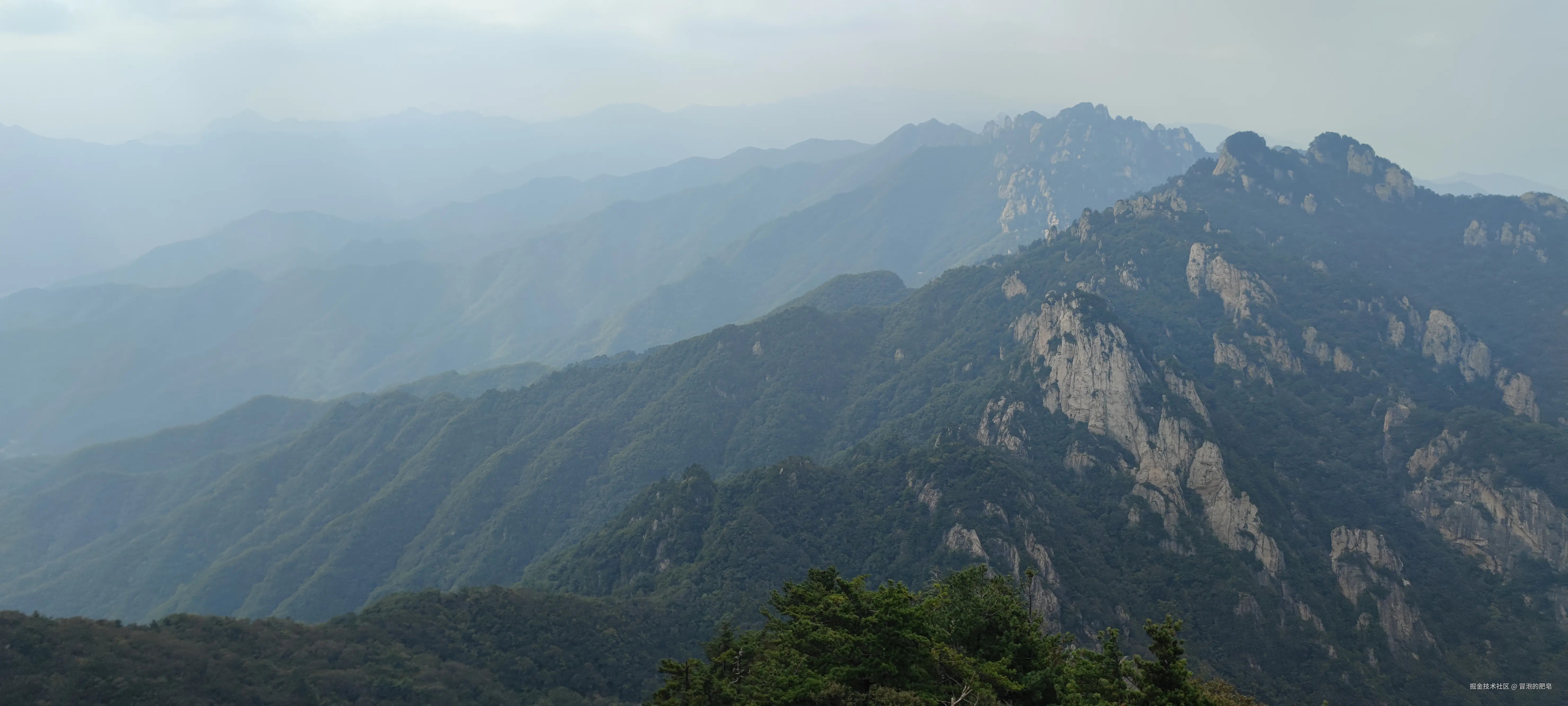 冒泡的肥皂于2024-09-28 11:32发布的图片