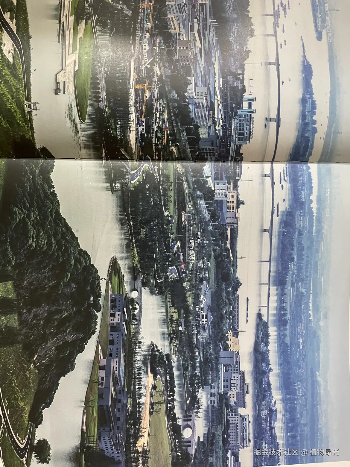 植物昂光于2026-04-14 20:57发布的图片