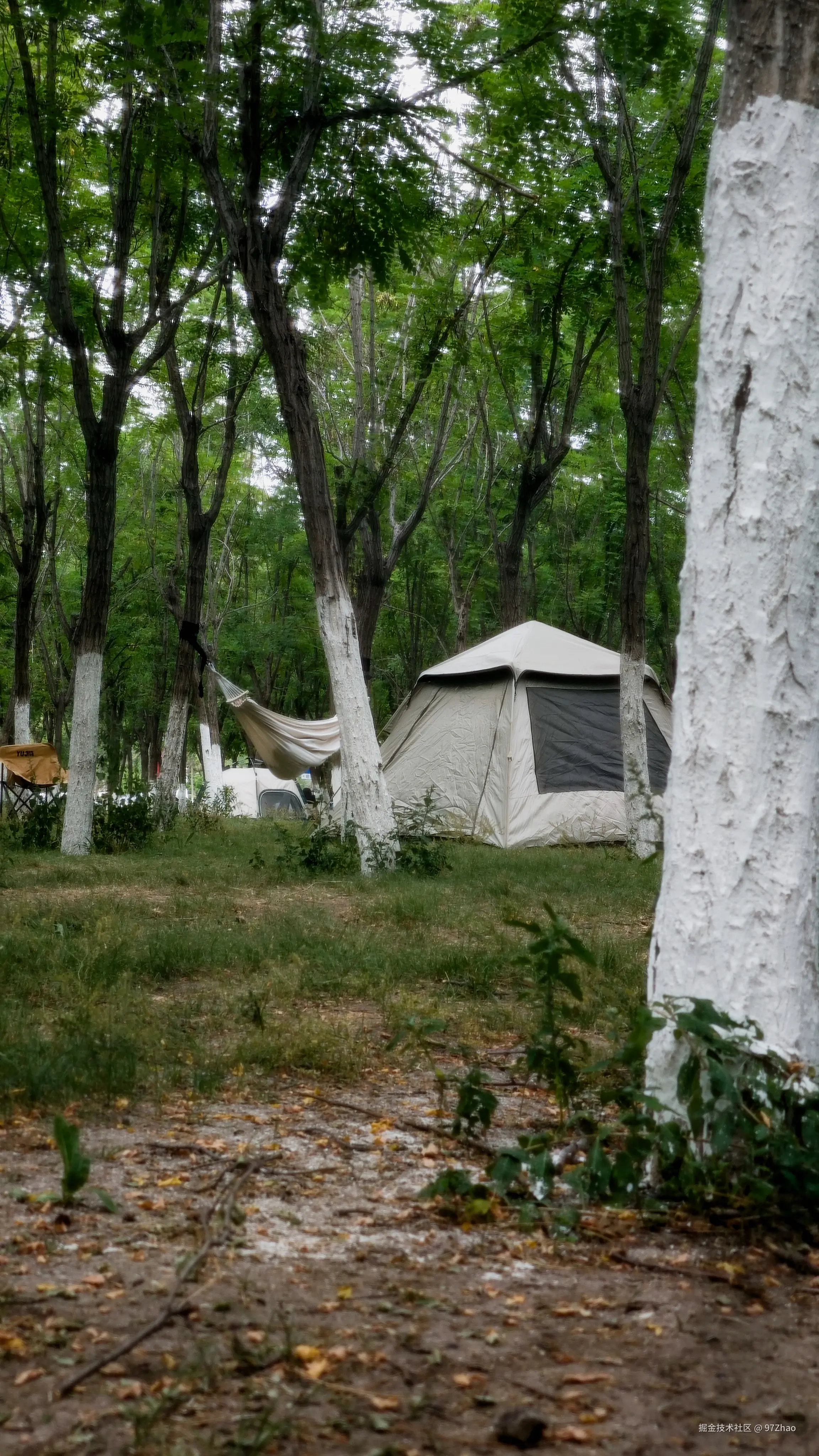 97Zhao于2025-06-04 09:21发布的图片