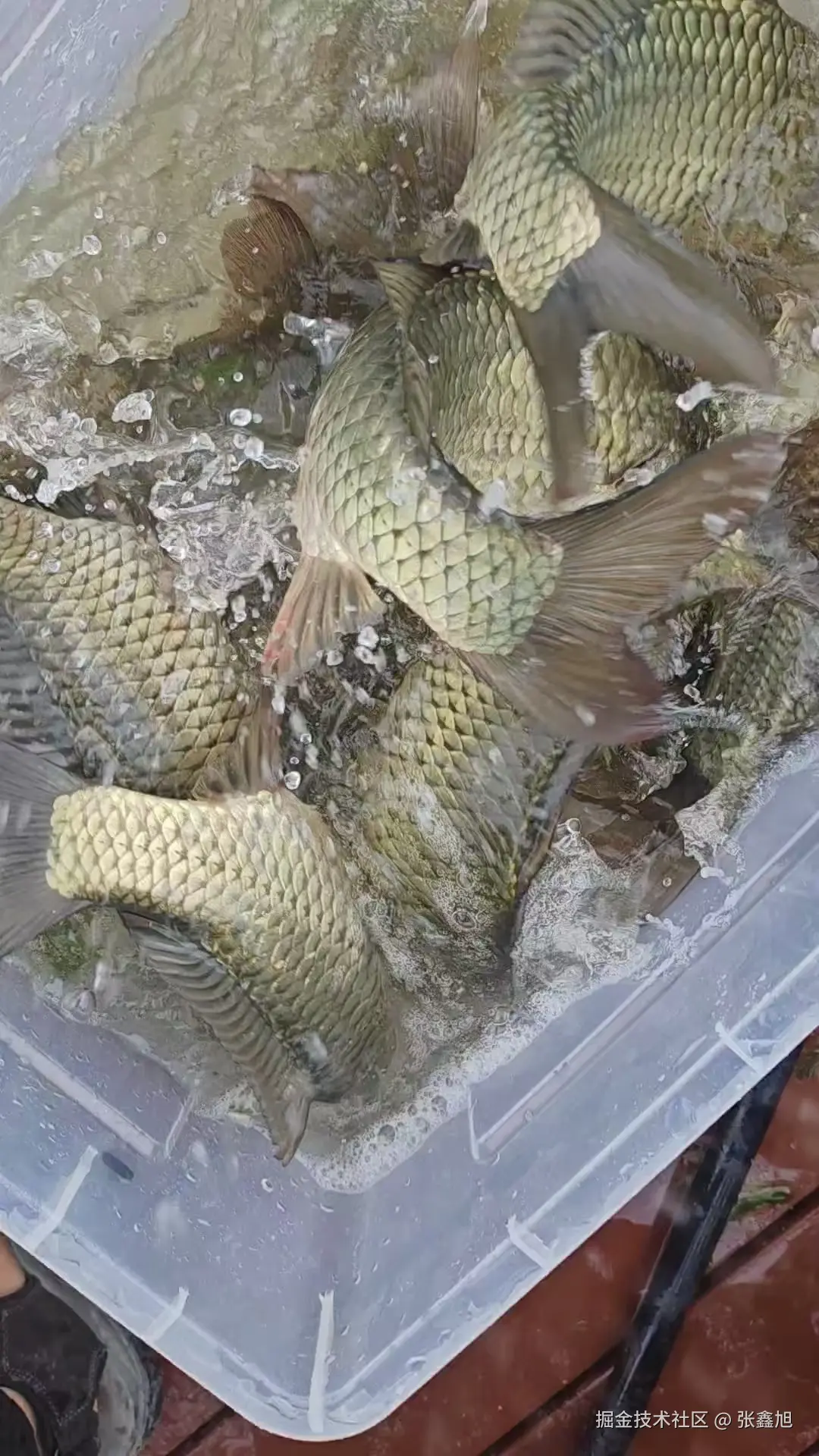 张鑫旭于2025-09-09 08:25发布的图片