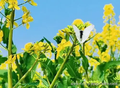 性能优化之IO优化系列