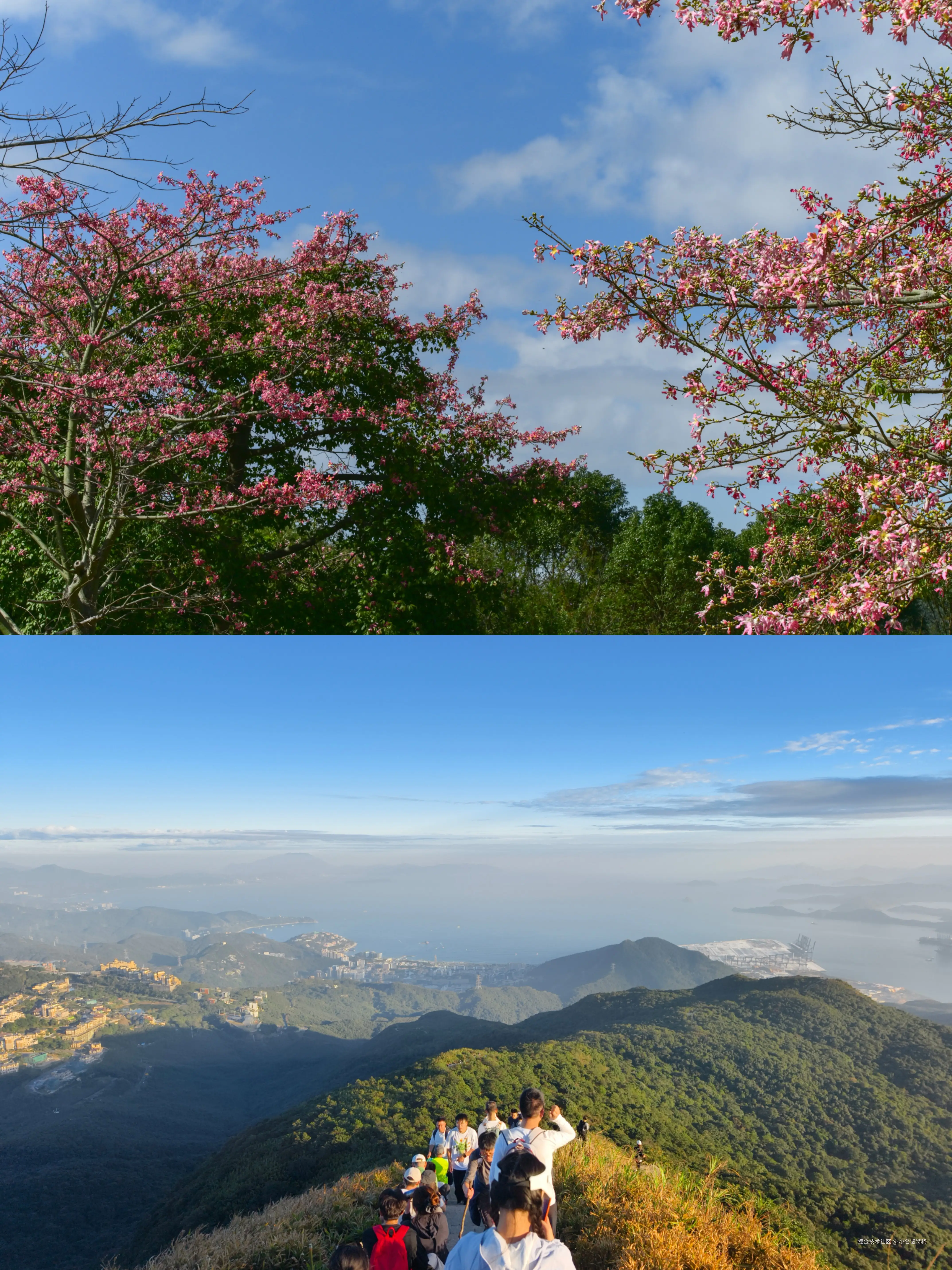 小名饭特稀于2025-12-01 10:22发布的图片