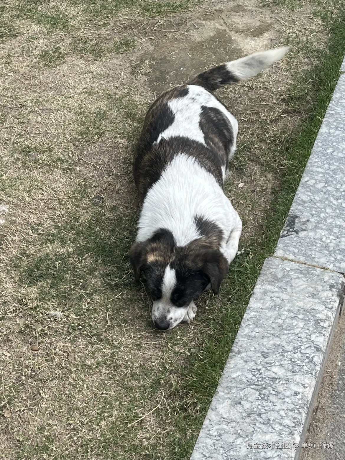 单纯_稀饭于2025-03-03 18:04发布的图片