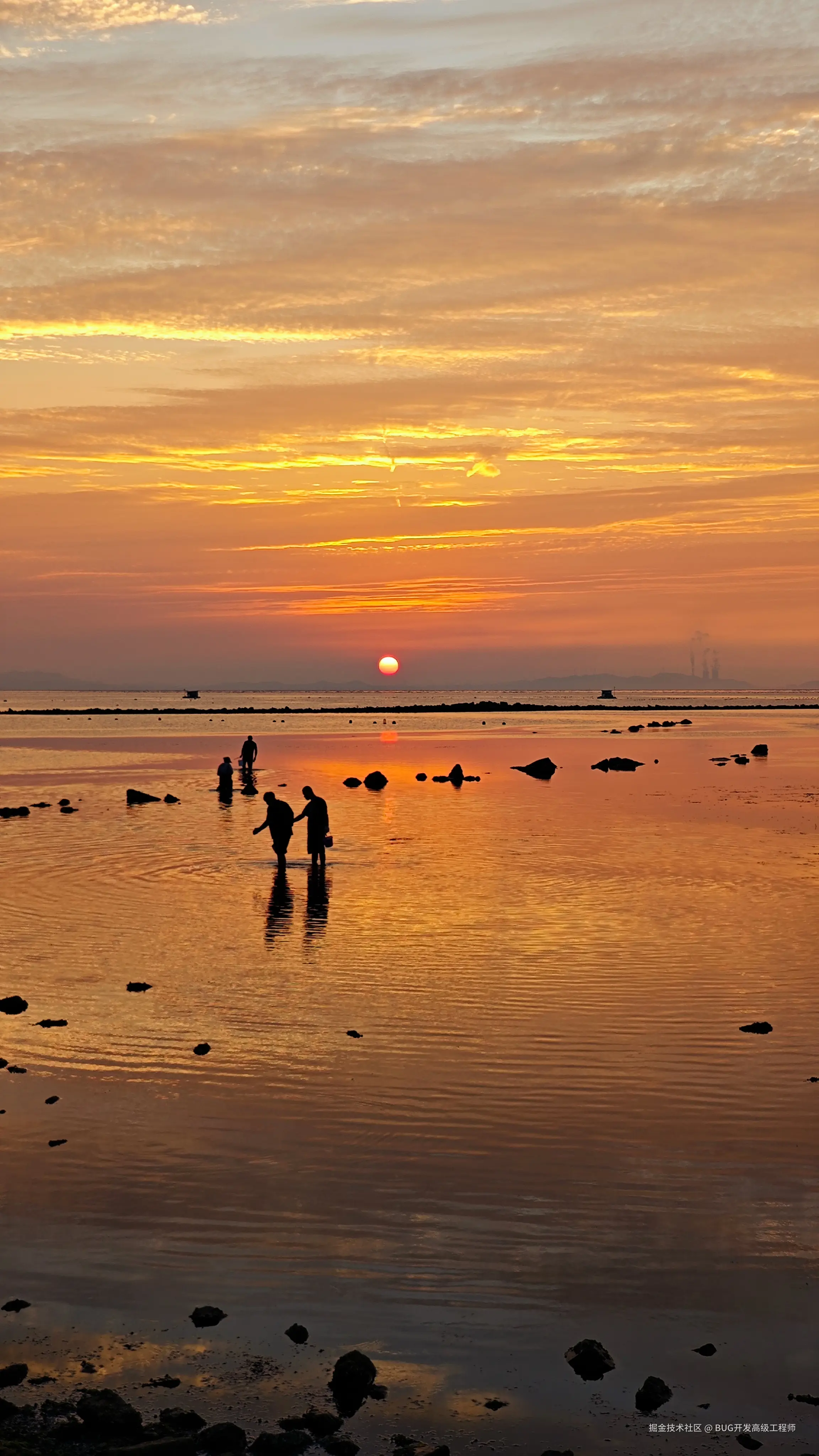 BUG开发高级工程师于2025-08-20 16:01发布的图片