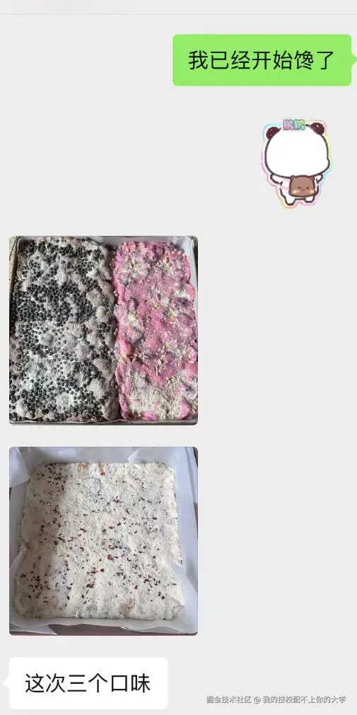 我的技校配不上你的大学于2026-02-28 14:13发布的图片