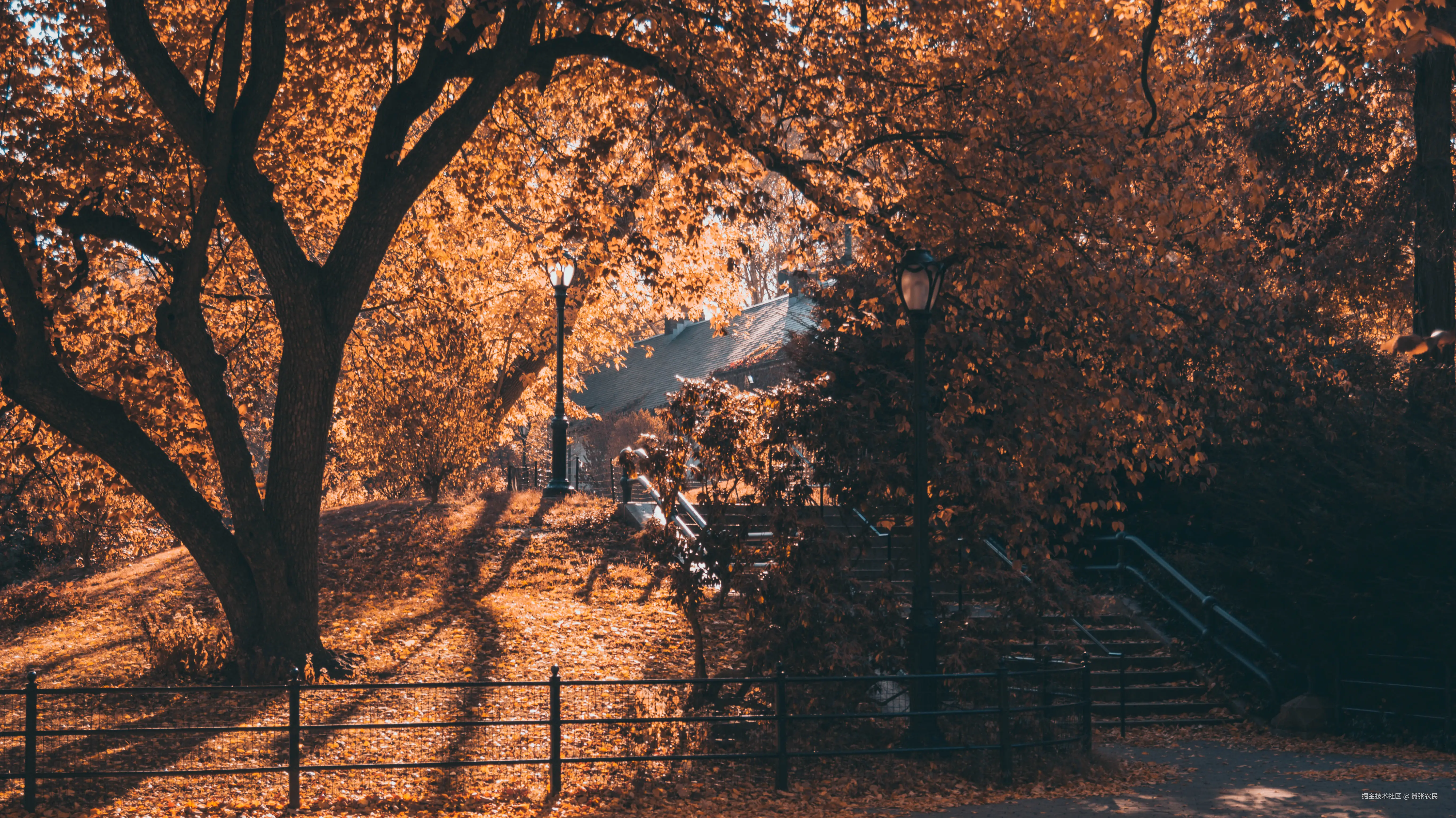 Javascript基础入门到进阶合集