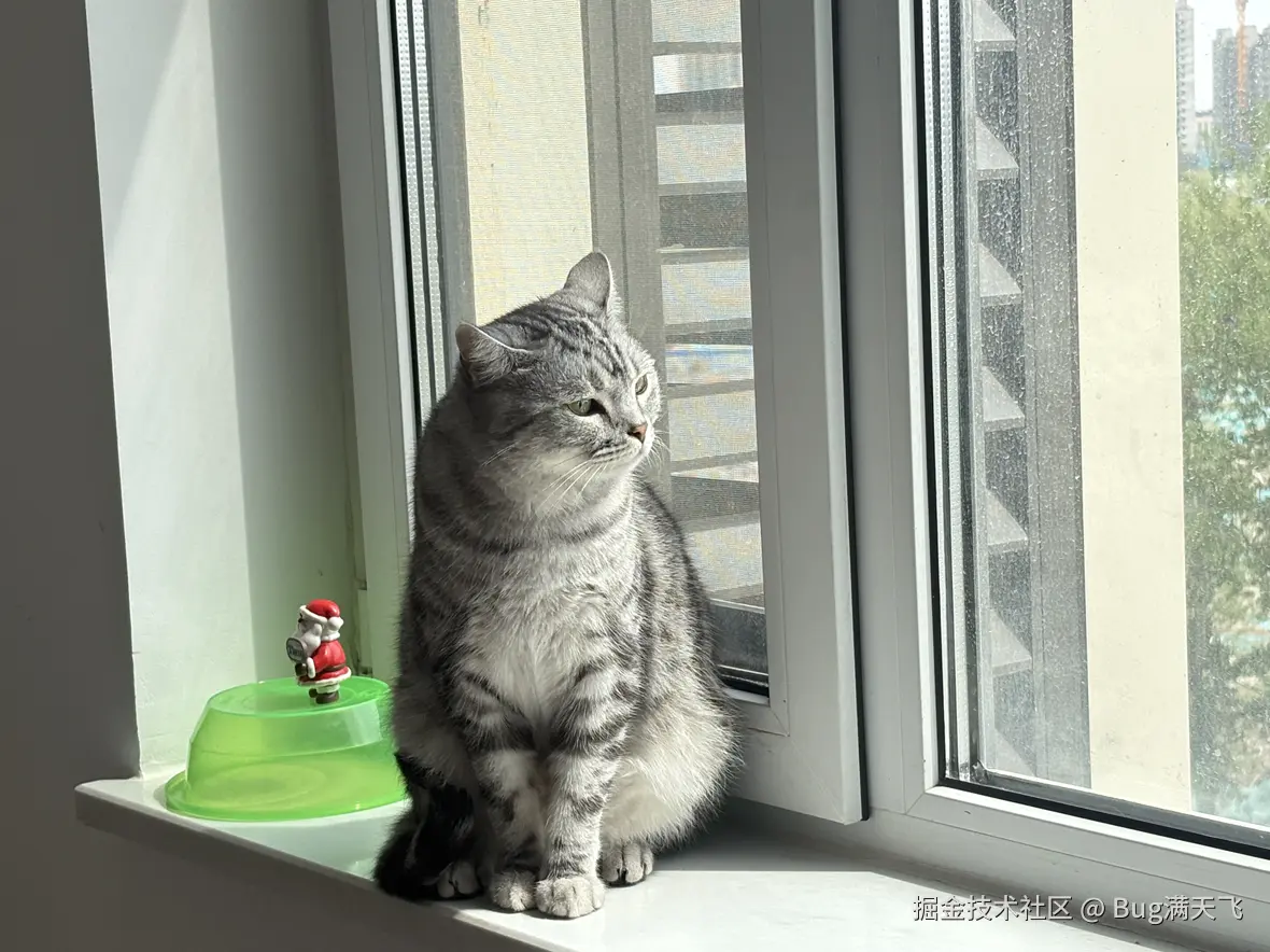Bug满天飞于2025-04-16 14:35发布的图片