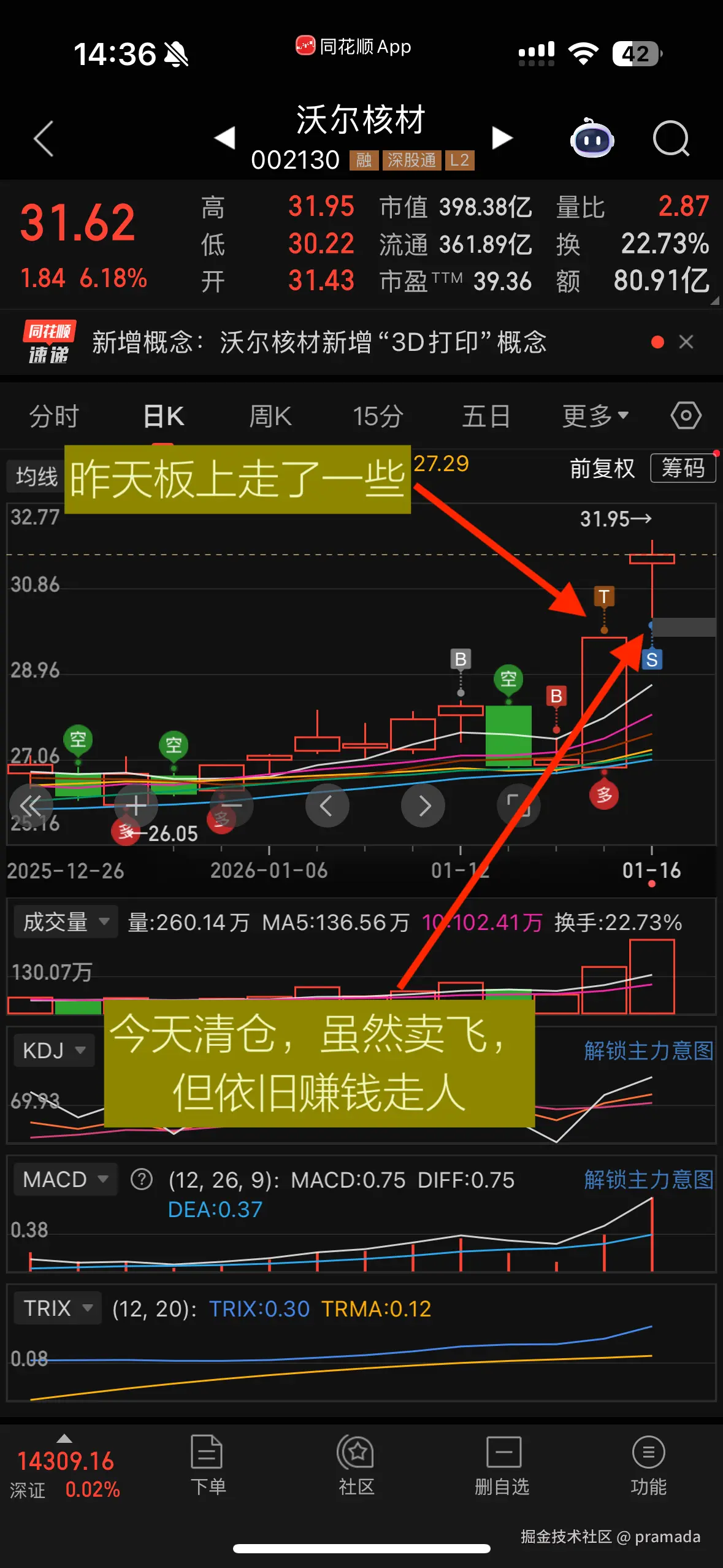 pramada于2026-01-16 06:41发布的图片