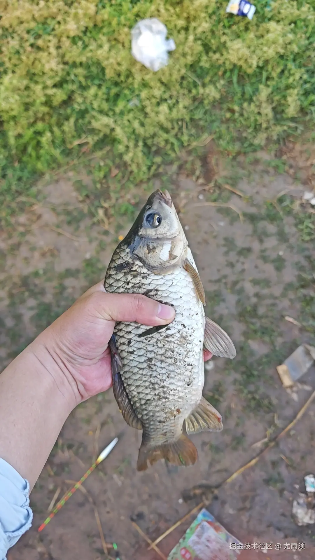 尤雨须于2026-04-20 10:42发布的图片