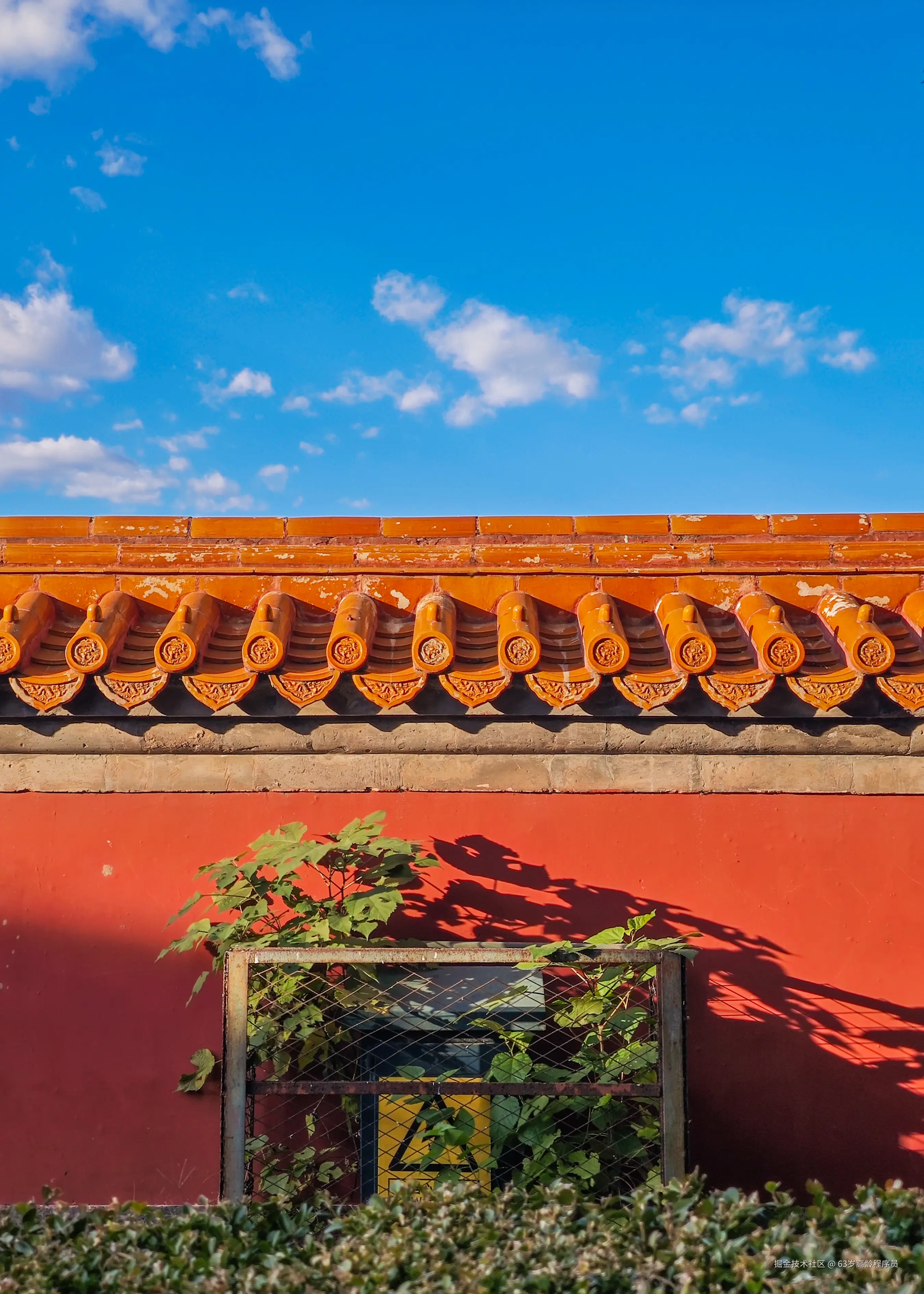 63岁高龄程序员于2025-11-05 15:17发布的图片