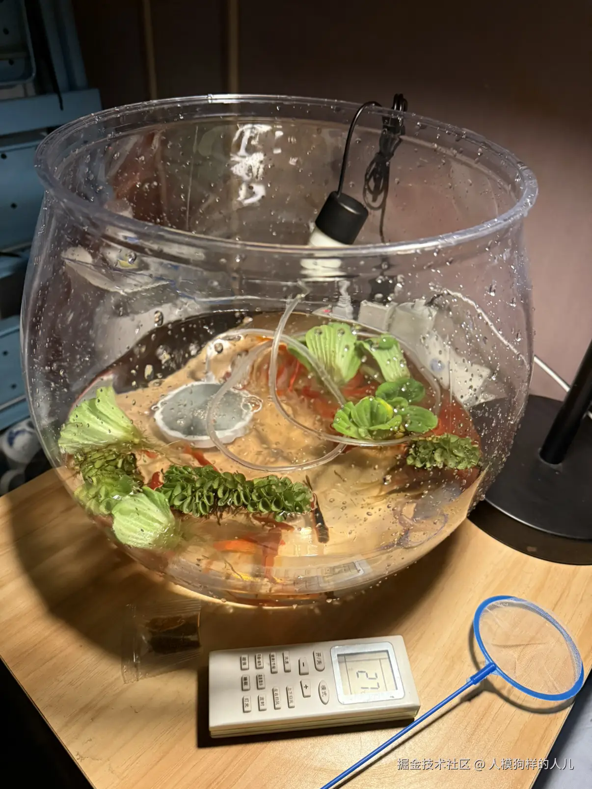 人模狗样的人儿于2025-11-02 13:06发布的图片