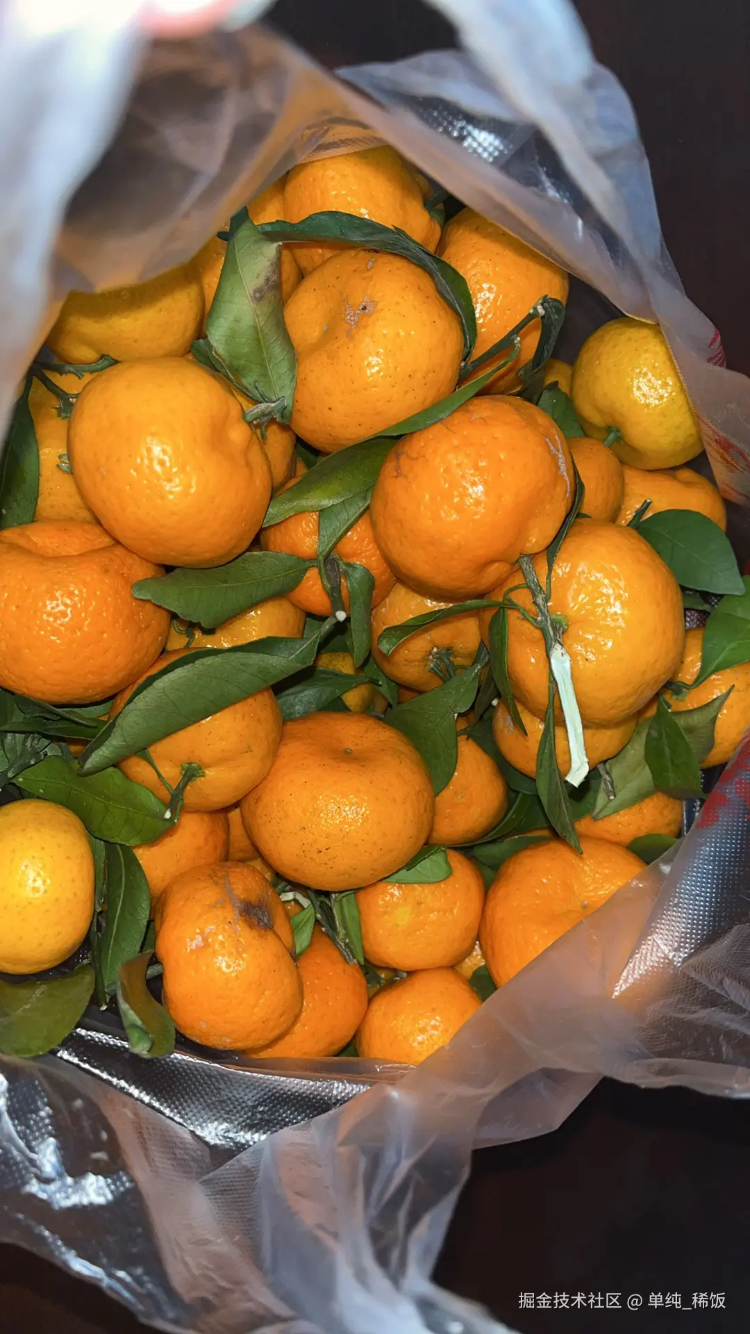 单纯_稀饭于2025-12-02 09:21发布的图片