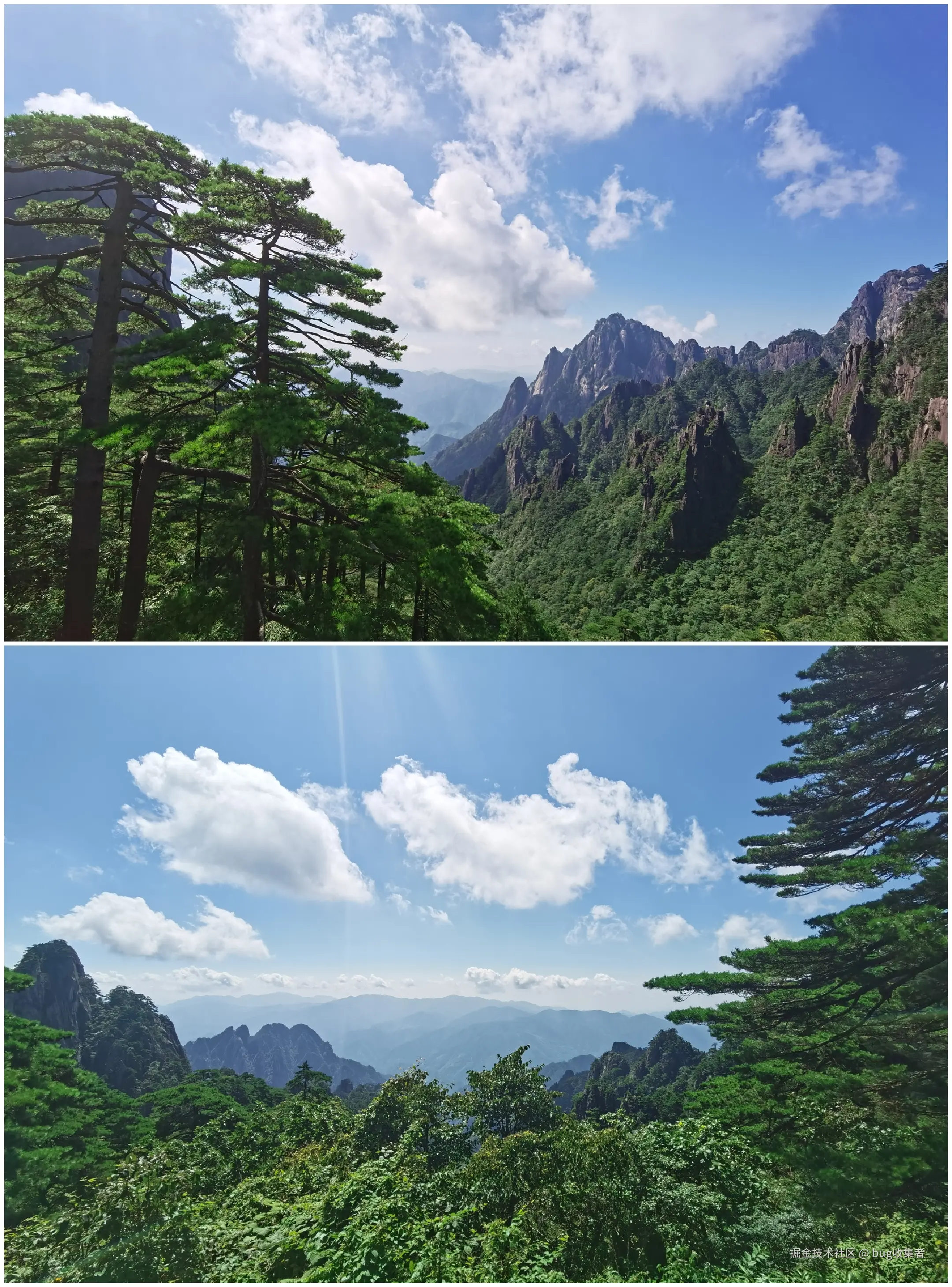 bug收集者于2024-08-04 15:17发布的图片