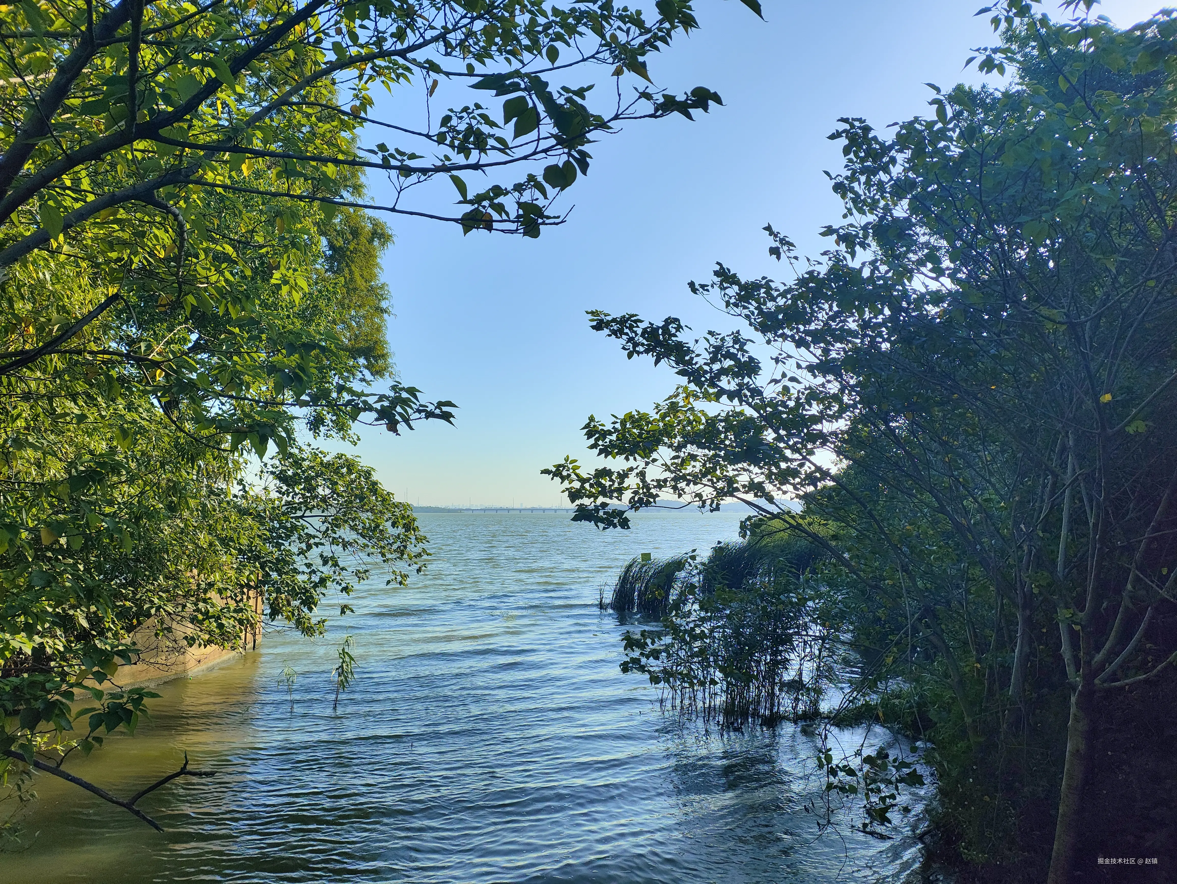 赵镇于2024-07-26 10:55发布的图片