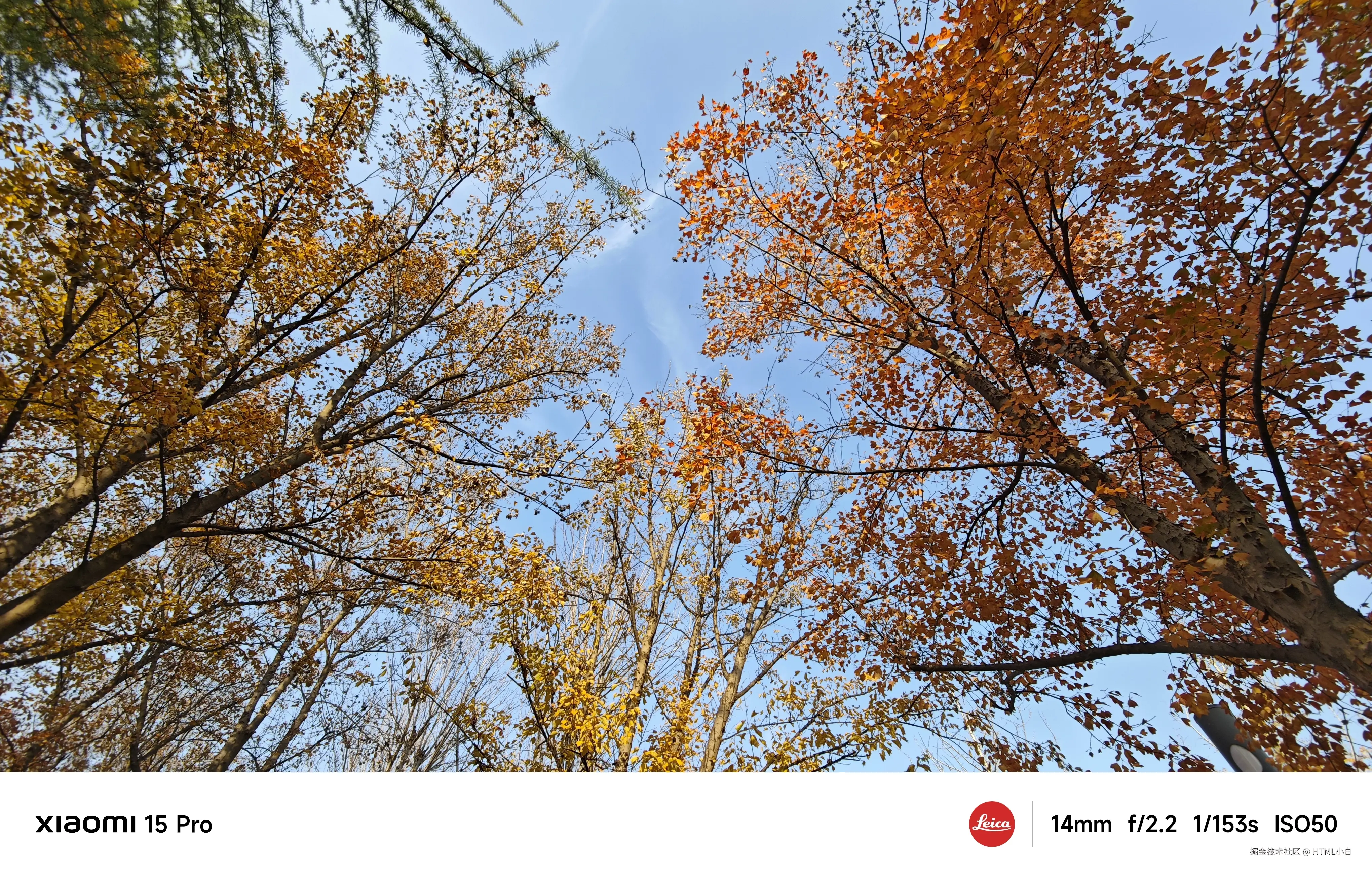 HTML小白于2025-11-03 10:31发布的图片