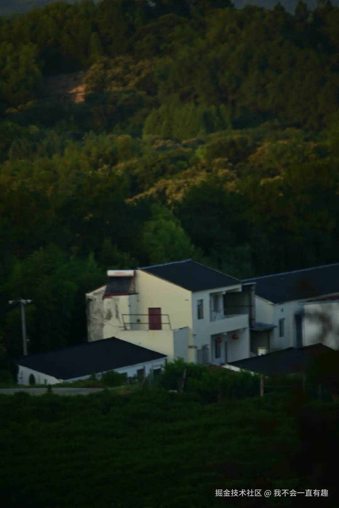 我不会一直有趣于2024-08-05 11:47发布的图片