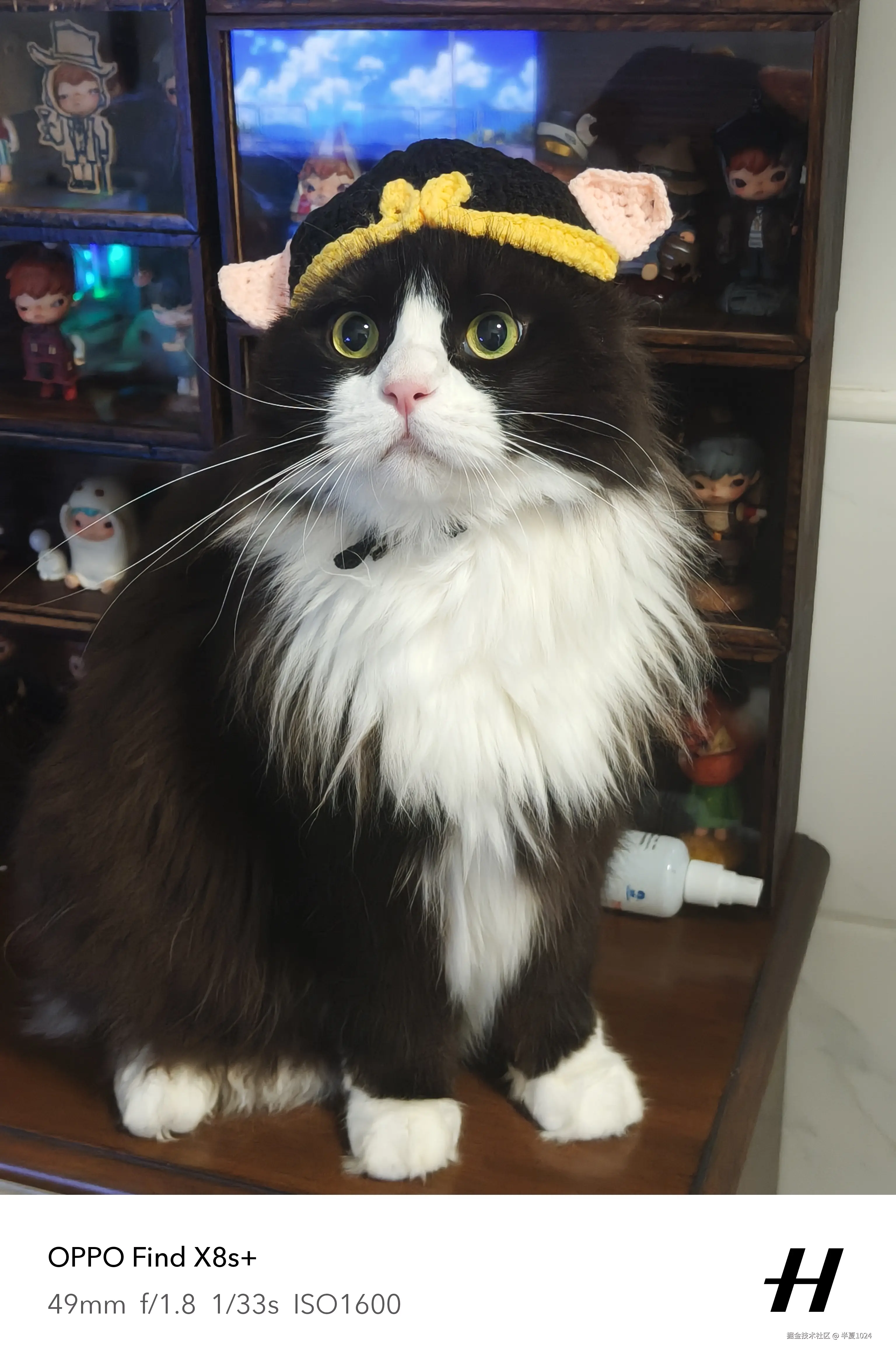 半夏1024于2025-06-25 11:23发布的图片