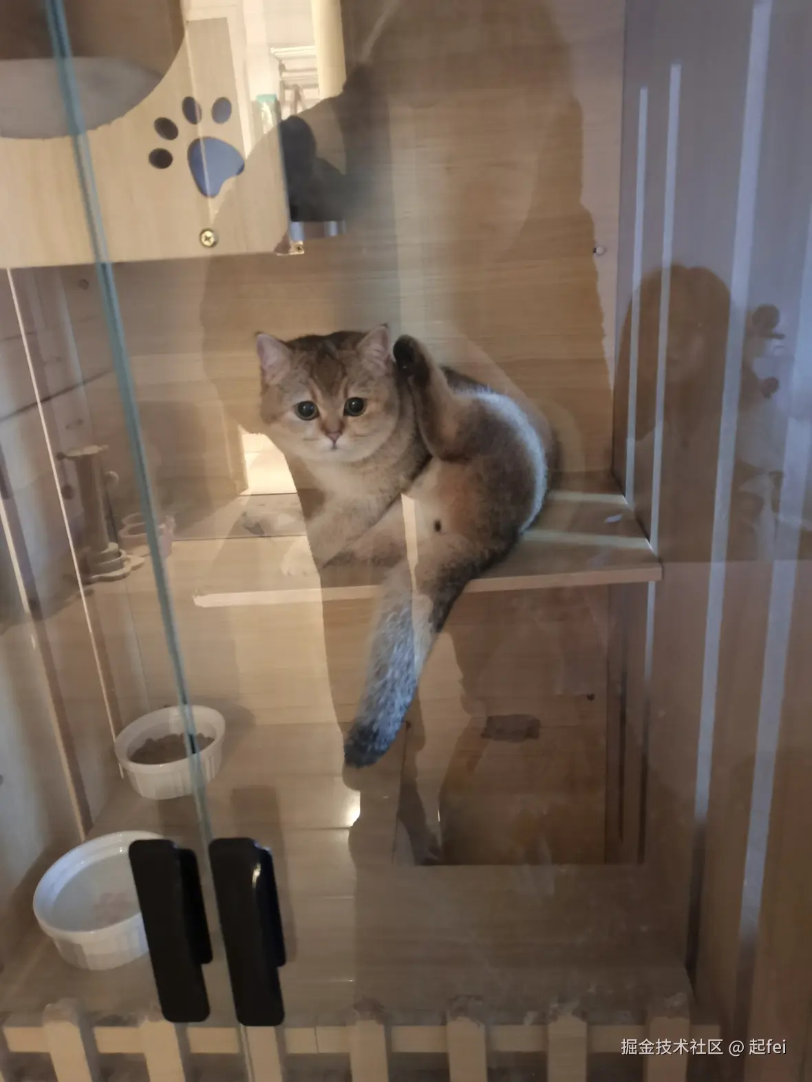 起fei于2025-03-10 11:02发布的图片