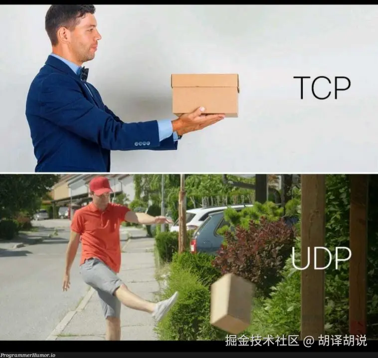 胡译胡说于2024-08-05 10:42发布的图片
