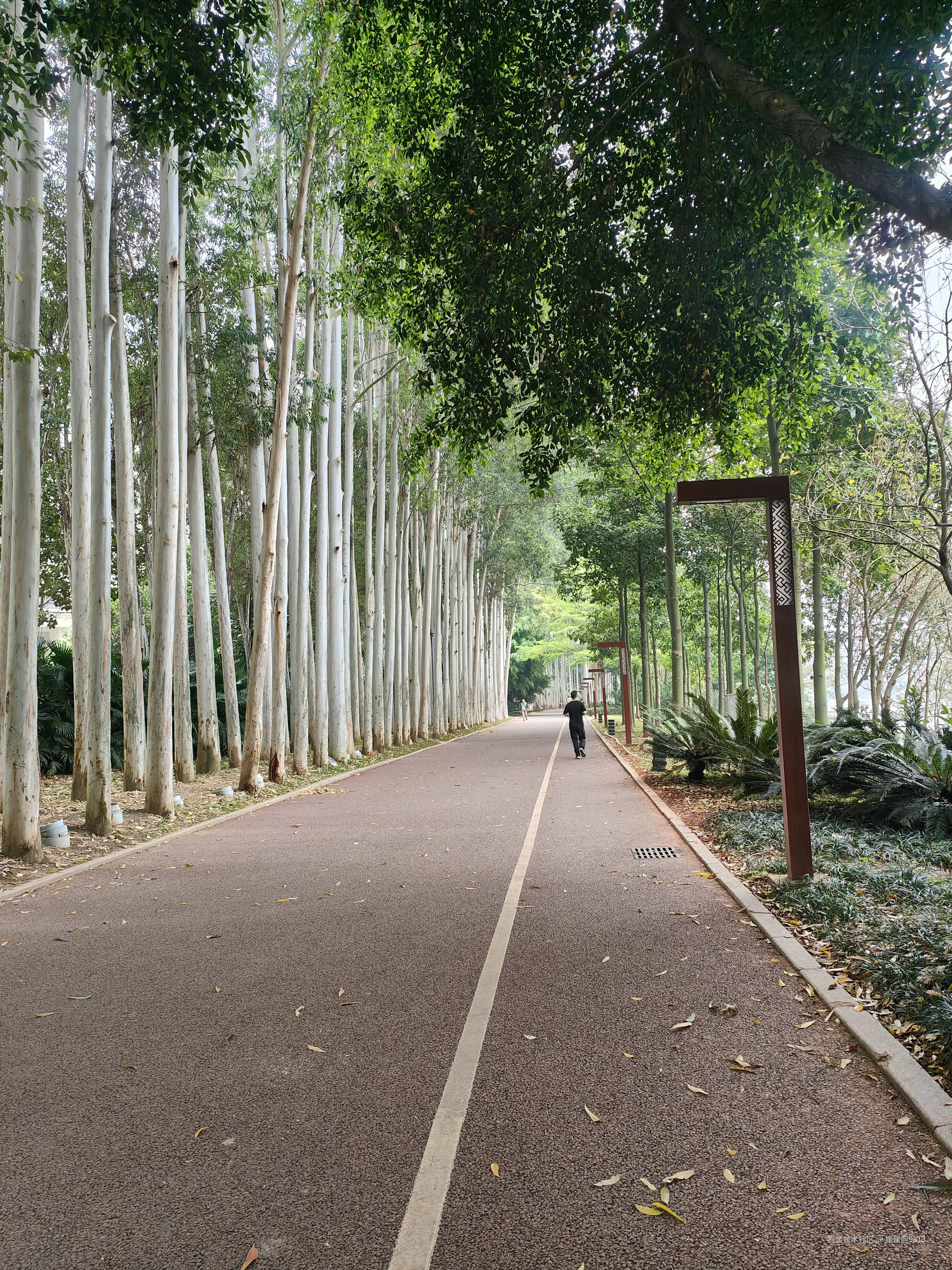 媛媛啊9813于2026-04-01 22:53发布的图片