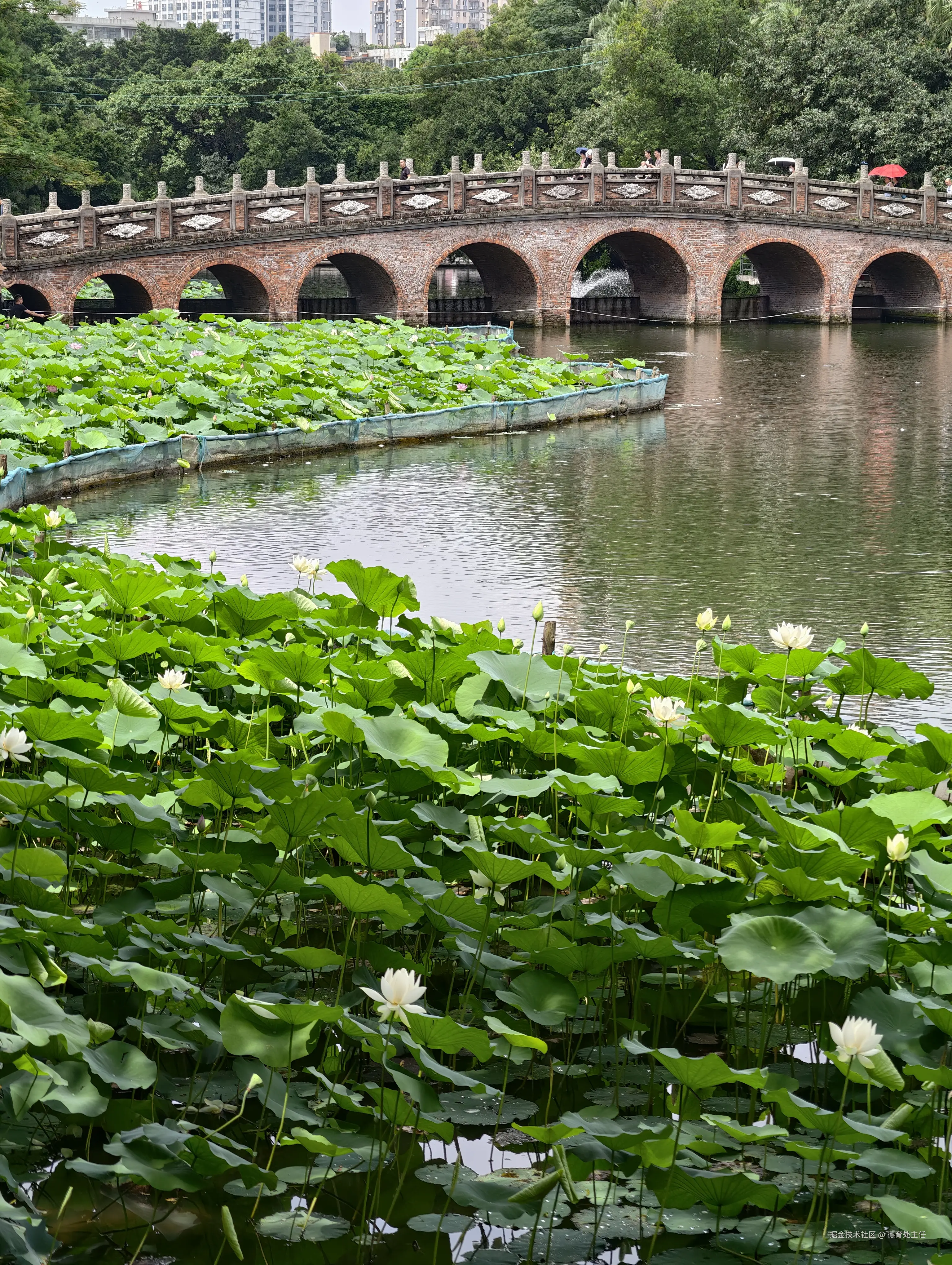 德育处主任于2025-05-21 16:30发布的图片